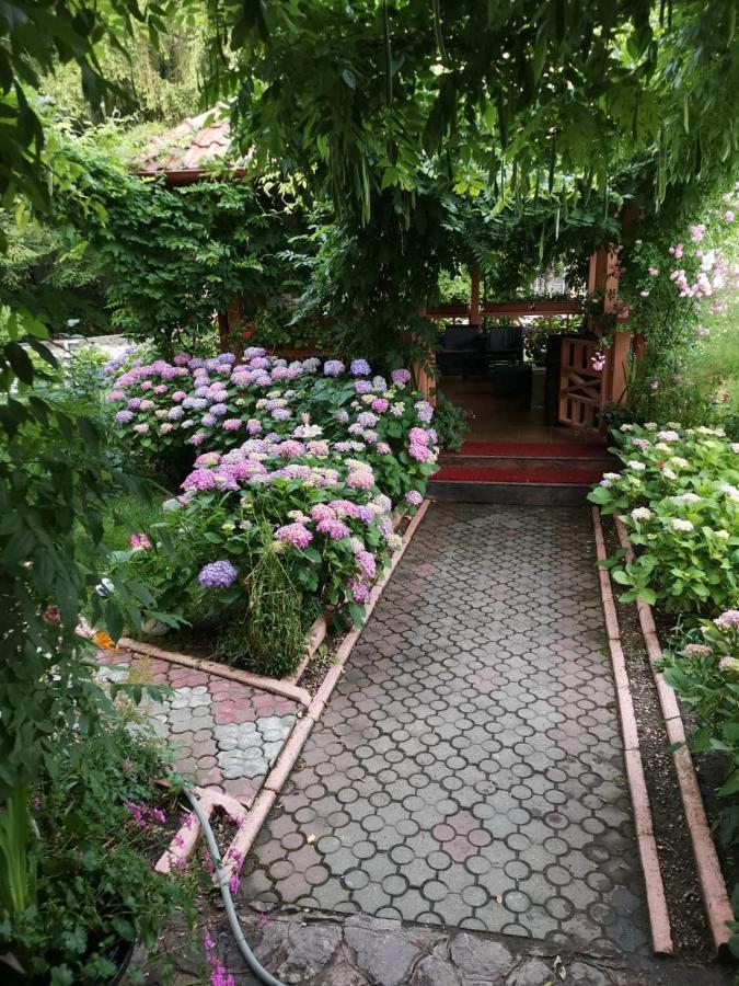 فندق مونياسافي  Vila Cerbul Albastru المظهر الخارجي الصورة
