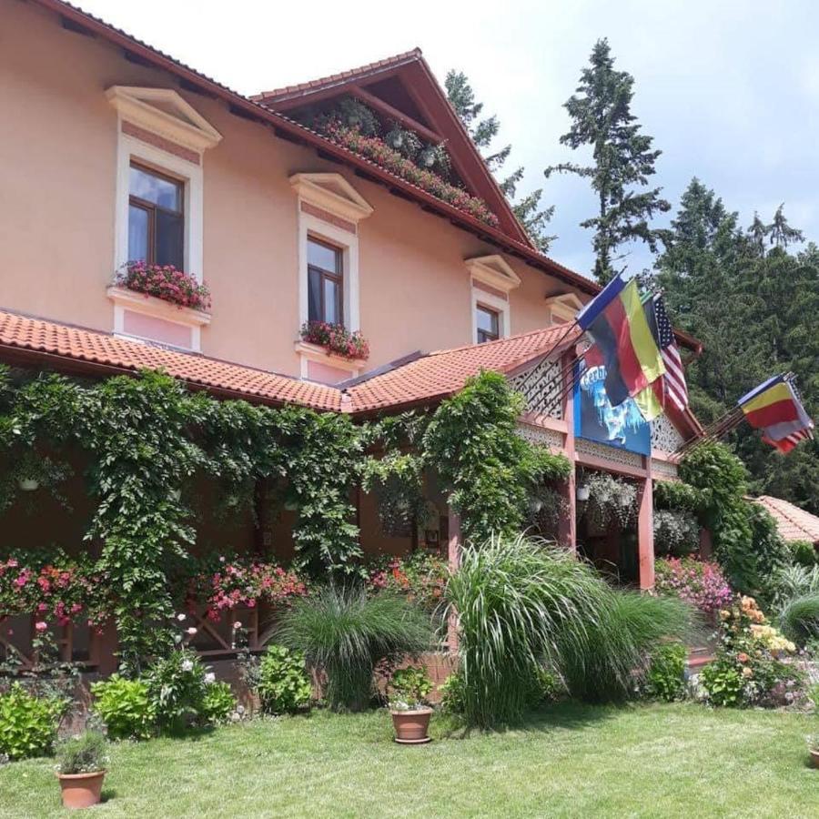 فندق مونياسافي  Vila Cerbul Albastru المظهر الخارجي الصورة
