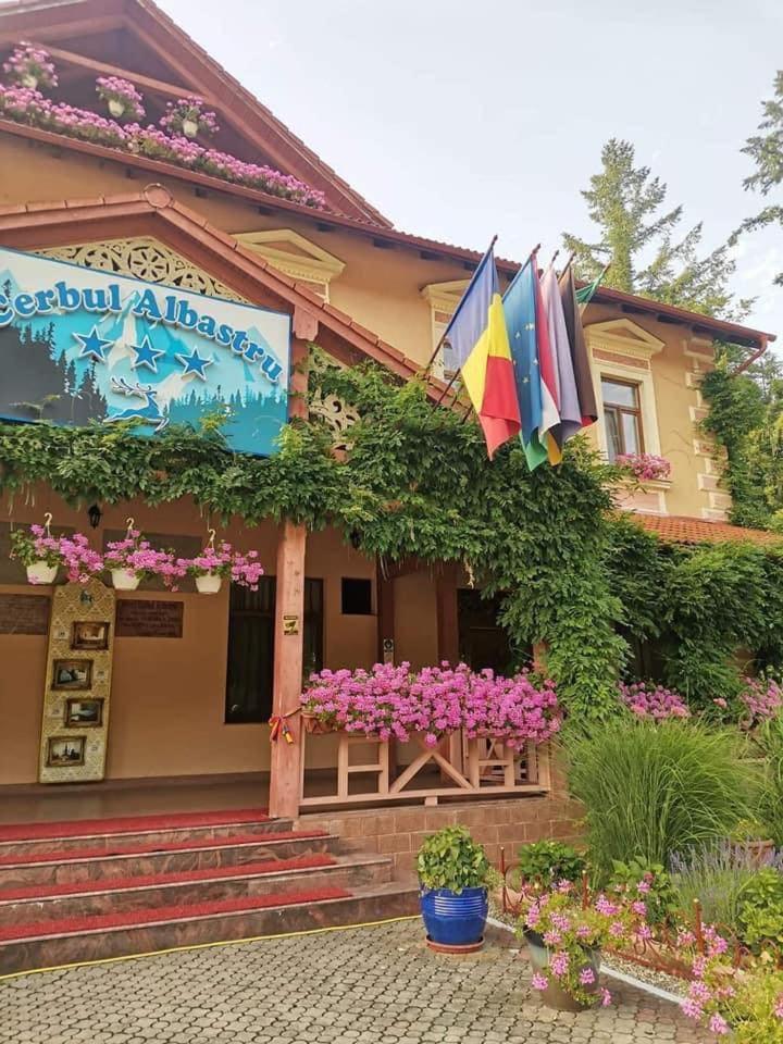 فندق مونياسافي  Vila Cerbul Albastru المظهر الخارجي الصورة